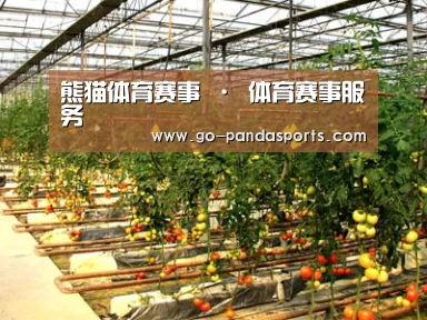 种植基地二