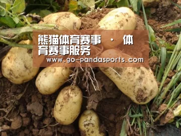 种植基地六