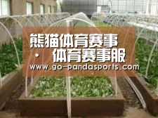 环境展示五