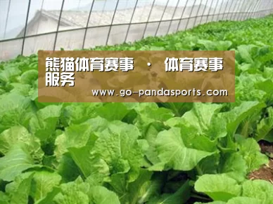 种植基地一