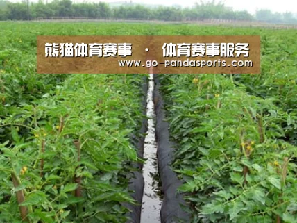 种植基地三