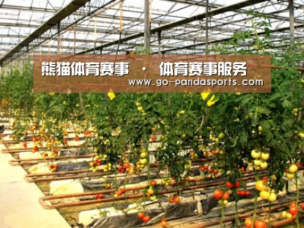 种植基地二(图1)