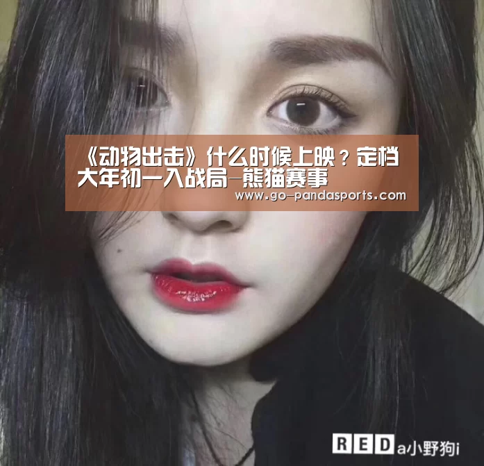 熊猫赛事