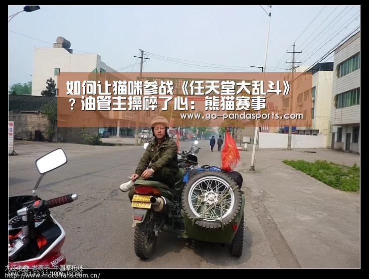如何让猫咪参战《任天堂大乱斗》?油管主操碎了心:熊猫赛事(图4) 熊猫体育安装