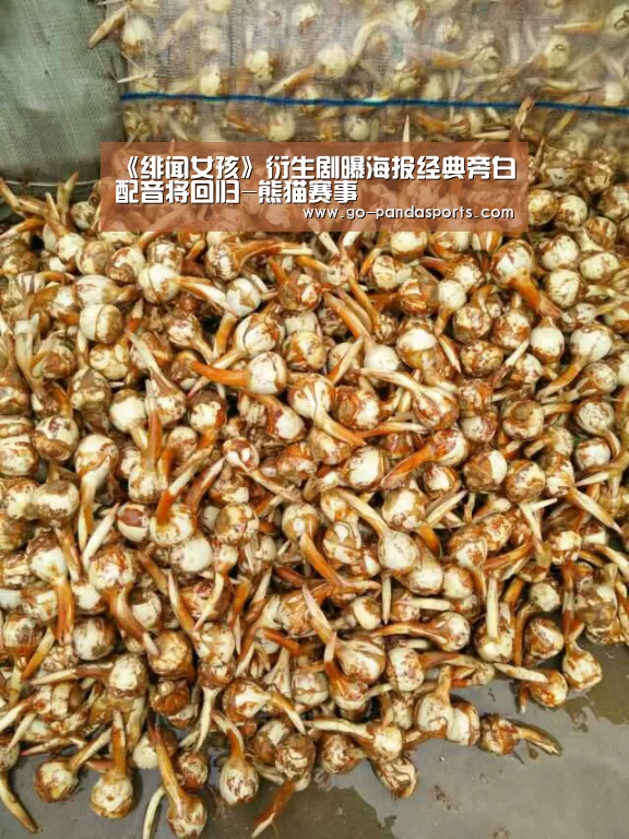 《绯闻女孩》衍生剧曝海报经典旁白配音将回归-熊猫赛事(图2) 熊猫赛事