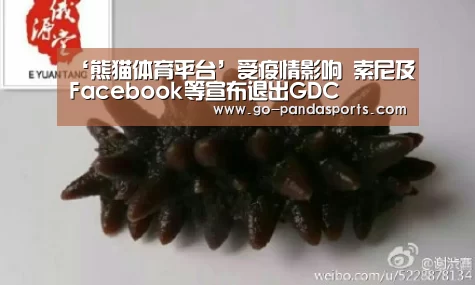 ‘熊猫体育平台’受疫情影响 索尼及Facebook等宣布退出GDC(图1) 熊猫赛事